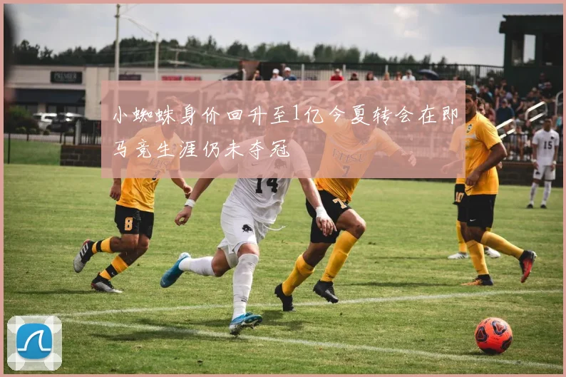 小蜘蛛身价回升至1亿今夏转会在即马竞生涯仍未夺冠